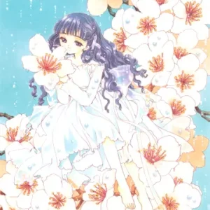 Cardcaptor Sakura CCS_217