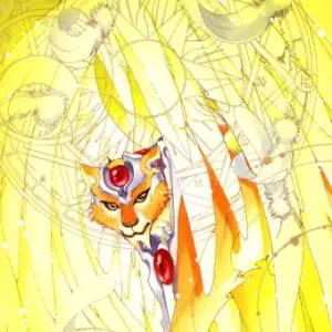 Cardcaptor Sakura CCS_244