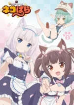 Nekopara NP_001