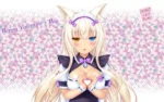 Nekopara NP_006