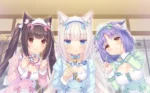 Nekopara NP_028