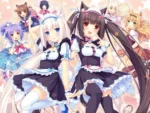 Nekopara NP_031