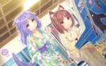 Nekopara NP_035