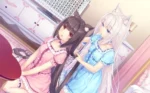 Nekopara NP_047