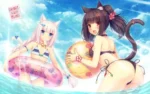 Nekopara NP_059