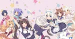 Nekopara NP_061