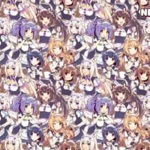 Nekopara NP_064