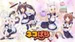Nekopara NP_069