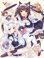 Nekopara NP_076