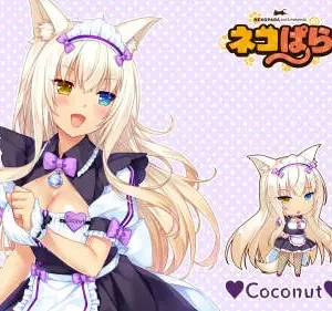 Nekopara NP_080