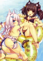 Nekopara NP_084