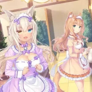 Nekopara NP_086