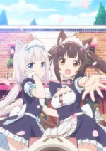 Nekopara NP_087
