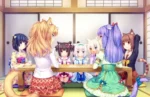 Nekopara NP_091