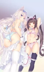 Nekopara NP_096