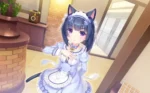 Nekopara NP_098
