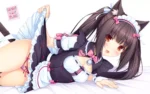 Nekopara NP_102