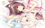 Nekopara NP_130