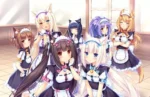 Nekopara NP_132