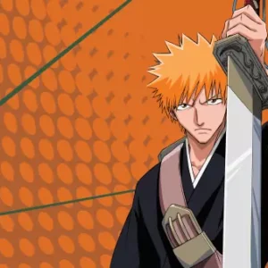 Bleach BLH_113