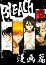 Bleach BLH_117