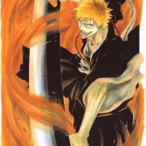 Bleach BLH_143