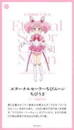 Bishoujo Senshi Sailor Moon BSSM_145